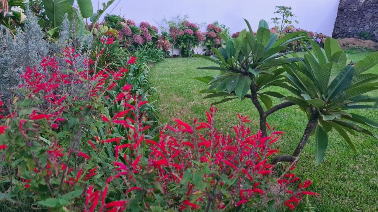 Villa Magnolia - To Explore The Island *